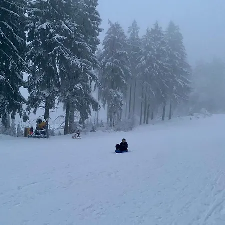 Seeblickappartement -eure Zeit- Mit Balkon Appartement