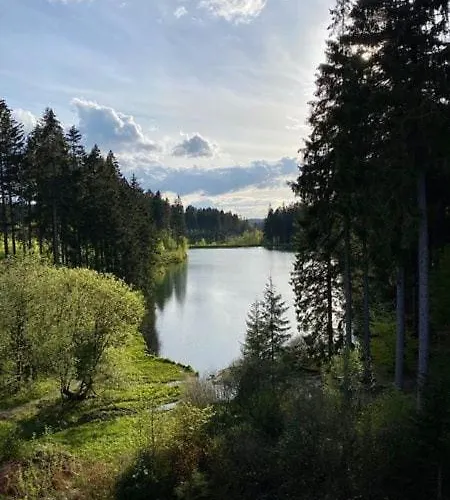 Seeblickappartement -eure Zeit- Mit Balkon 戈斯拉尔