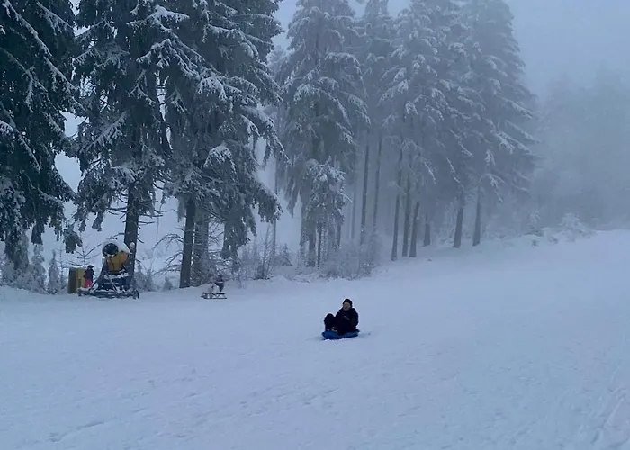 Seeblickappartement -eure Zeit- Mit Balkon 公寓