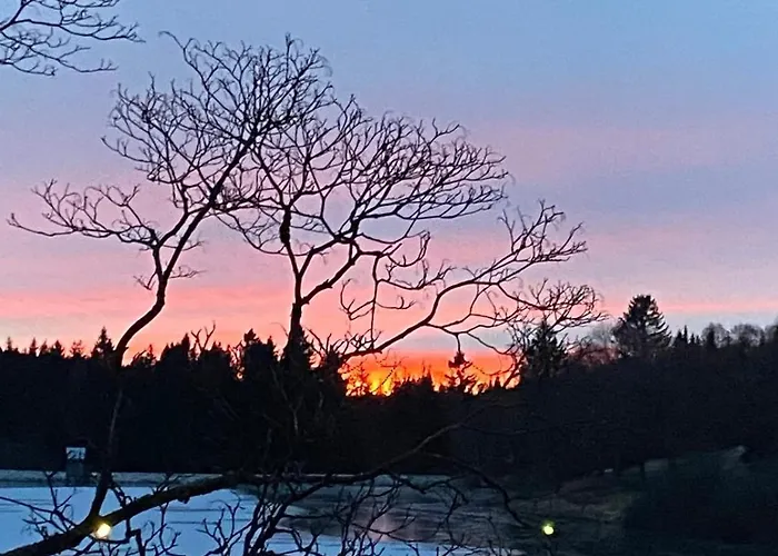 公寓 Seeblickappartement -eure Zeit- Mit Balkon 戈斯拉尔